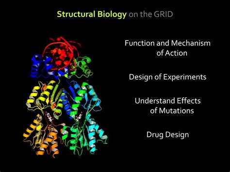 Ppt Structural Biology On The Grid Powerpoint Presentation Free