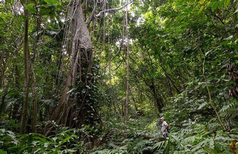 The Best Hiking Trails on Nevis Island | Life On The Roam