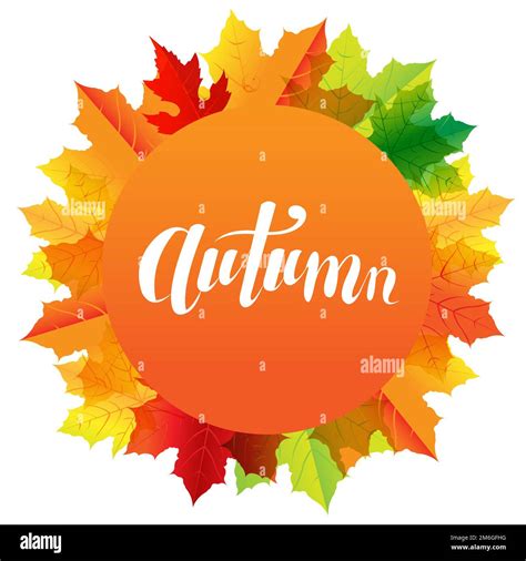autumn composition  speech bubble  text stock photo alamy