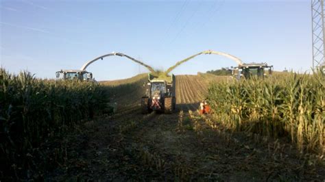 Galerien Nipp Landtechnisches Lohnunternehmen GbR