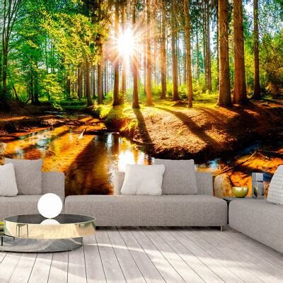 Landschaft Wald Sonne Natur Fototapete Vlies Tapete Xxl Wandtapete C B