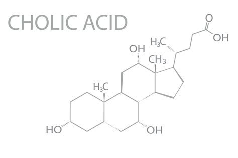 Cholic Acid Molecular Skeletal Chemical Formula Vector Art At