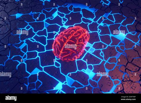 Human Brain And Circuit Board Hi Res Stock Photography And Images Alamy