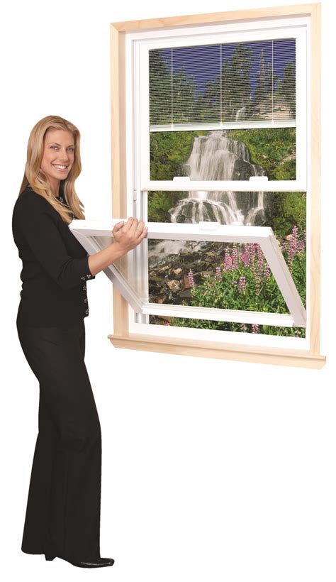 Window Privacy Mini Blinds – Tristate Window Factory