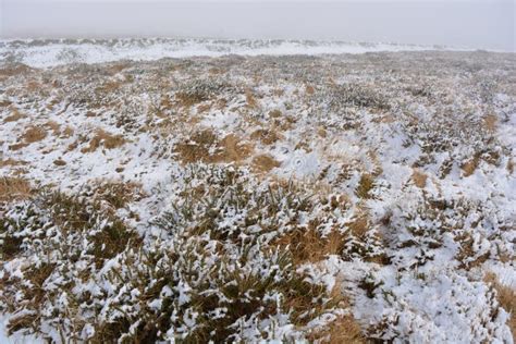 Bleak Winter Landscape with Hailstones Stock Image - Image of cold, hailstones: 167788993