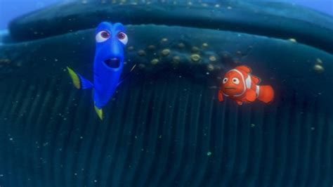 Inside Whale Finding Nemo