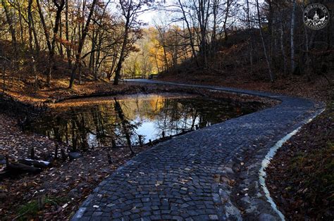 Sovata – The pearl of the Salt Country in Transylvania