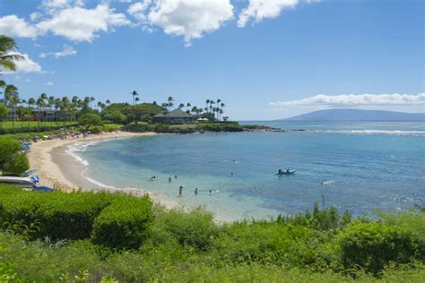 Top 8 Things to Do at Kapalua Bay Beach - Maui Hideaway