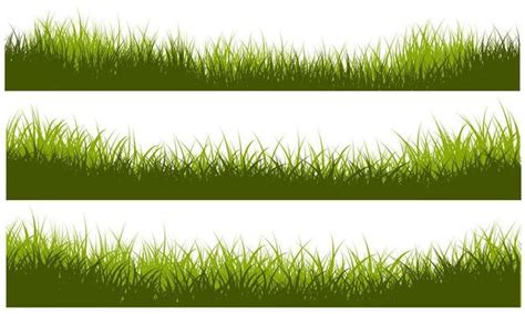 Grass Border Vector Art, Icons, and Graphics for Free Download