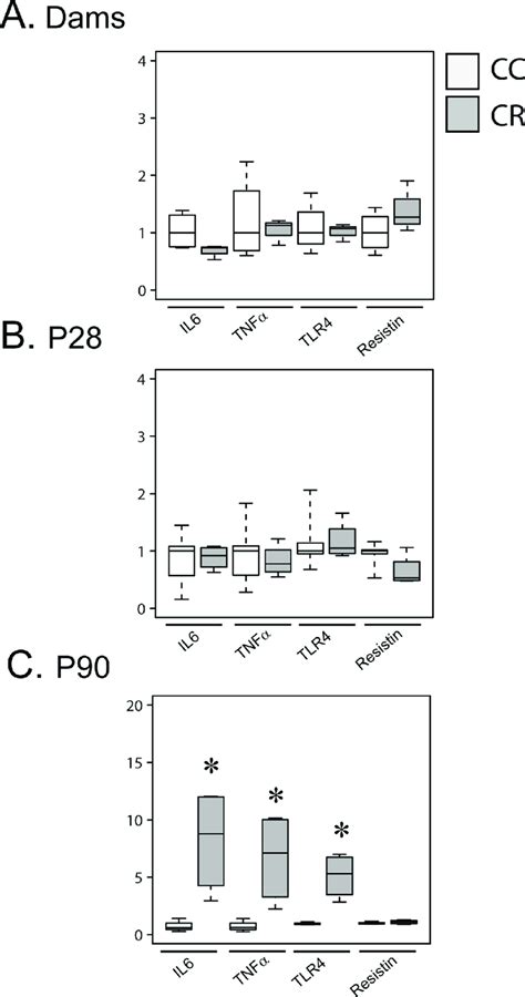 Maternal resistin increases cortical inflammation markers of offspring ...