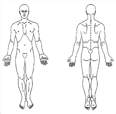 Body chart (10 x 10 cm). | Download Scientific Diagram