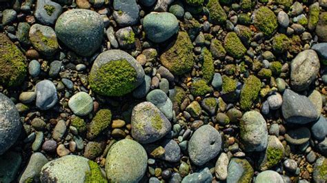 Premium Photo Gray Stones With Green Moss Photo