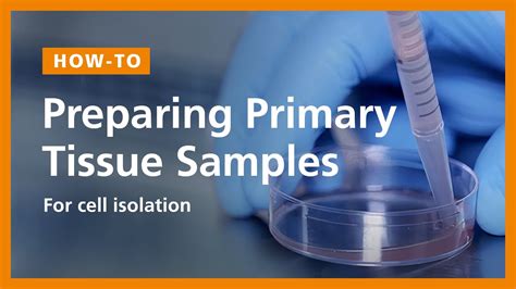 How To Prepare A Single Cell Suspension From Primary Tissue Samples E