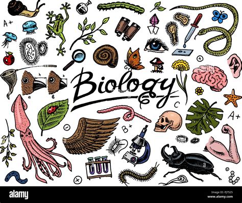 Scientific Laboratory In Biology Icon Set Of Biochemistry Research