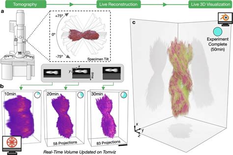 Real-Time Electron Tomography Workflow of a helical nanoparticle ...