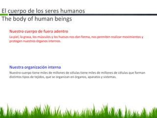 Tema 3 Alimentacion Y Digestion PPT Descarga Gratuita