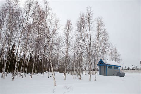 110+ Blue Outhouse In Winter Stock Photos, Pictures & Royalty-Free ...