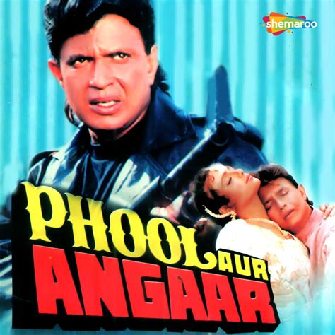 ‎phool Aur Angaar Original Motion Picture Soundtrack Album By Anu Malik Anwar Sagar Rani