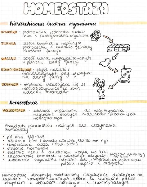 Homeostaza Biologia Maturo