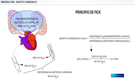 GASTO CARDÍACO WebFisio