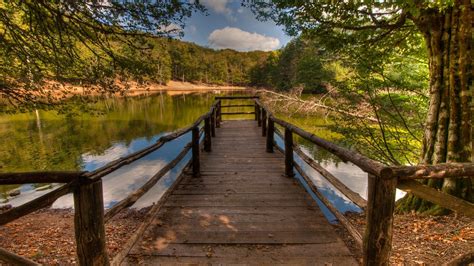 Foresta Umbra E Parco Nazionale Del Gargano Un Luogo Tutto Da Scoprire