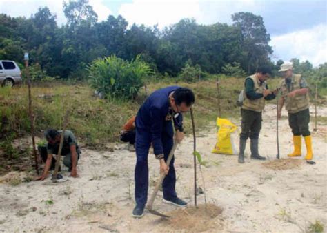 Pt Pelindo Regional Tanjungpandan Tanam Pohon Produktif Gandeng Hkm