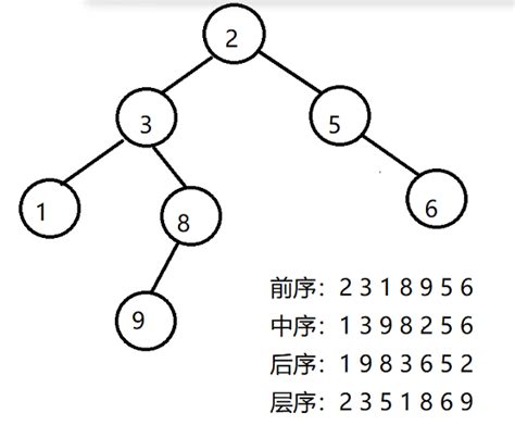 二叉树二叉搜索树数据结构各种模板 Acwing