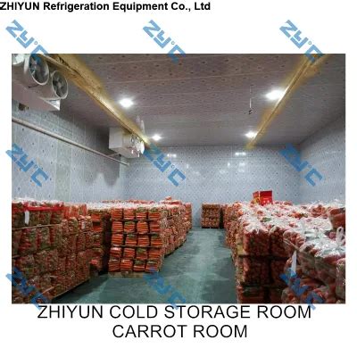 Zyc Walk In Cold Storage Room Chiller Freezer Warehouse For Carrot