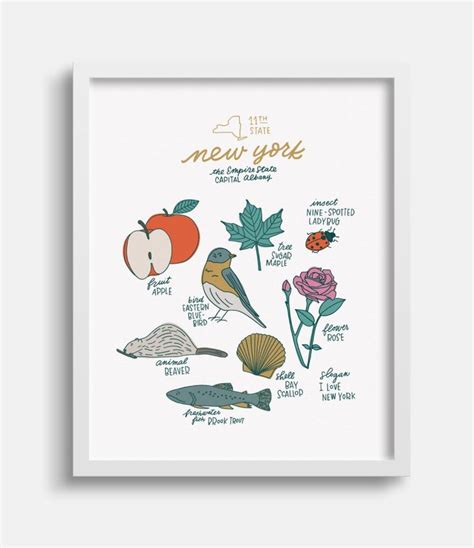 New York State Symbols | Illustration print, State symbols, New york travel