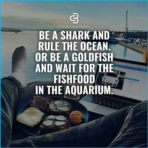 Shark Motivational Quotes