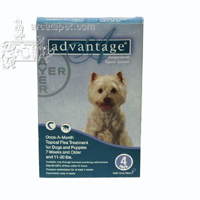 Dog Flea Medicine | Dog Flea Control