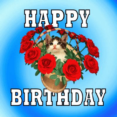 Happy Birthday Kitten GIFs - Get the best GIF on GIPHY