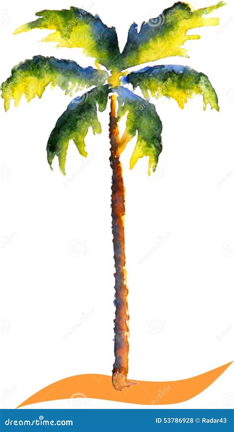 Palmera De La Acuarela Ilustraci N Del Vector Ilustraci N De