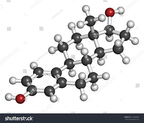 Estradiol Estrogen Female Sex Hormone Molecule Stock Illustration