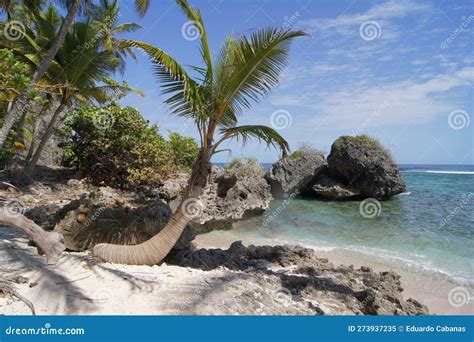 Playa Front N In The Samana Peninsula Dominican Republic Stock Image