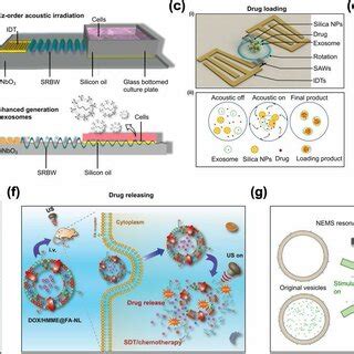 Manipulations of extracellular vesicles. (a) Isolation of exosomes from ...