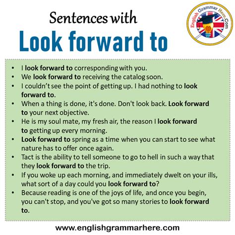 Sentences With Has And Have Has And Have In A Sentence In English