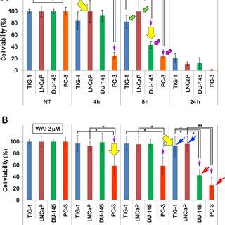 Cell Viability Of TIG 1 LNCaP DU 145 And PC 3 Cells After WA