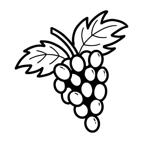 Grape. Hand drawn black and white sketch. Vector doodle illustration ...