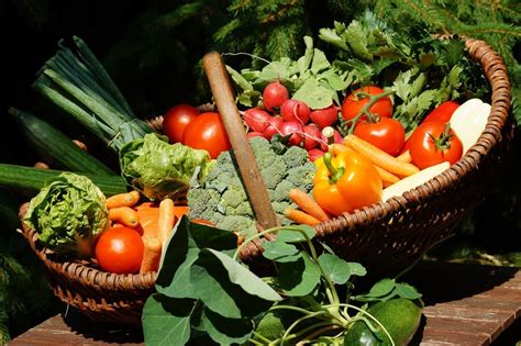 Diferen A Entre Verduras E Legumes Areamelhores