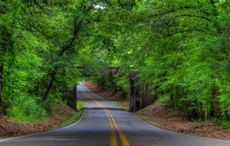 Wallpaper road, forest, bridge, green, forest, road, trees, bridge for ...