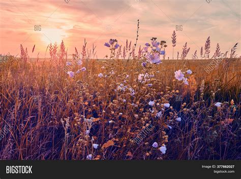 Sunrise Field. Image & Photo (Free Trial) | Bigstock