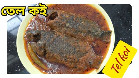 tel koi তল কই Tel koi recipe Bengali fish curry recipe koi