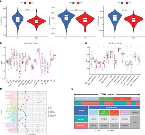 Frontiers Establishment And Validation Of A Ubiquitination Related