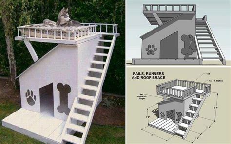 DIY Dog House with Roof Top Deck | Home Design, Garden & Architecture ...