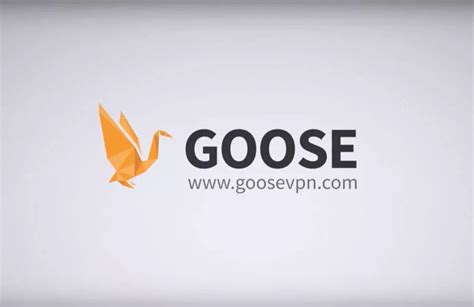 GOOSE VPN Review Tutorial VPNmentor GOOSE VPN Service