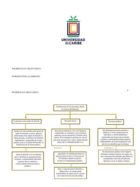 Esquema Sobre Las Diferentes Clases De Personas Pdf Derechos