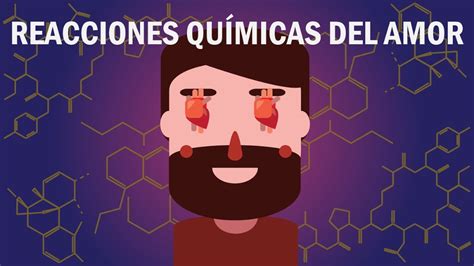 La química del amor qué le pasa a tu cerebro cuando te enamoras