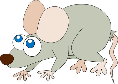 Plus De 1 000 Images De Nude Rat Et De Rat Pixabay