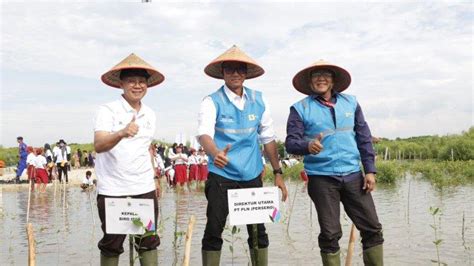 Tegakkan Prinsip Operasional Yang Berkelanjutan PLN Restorasi 308